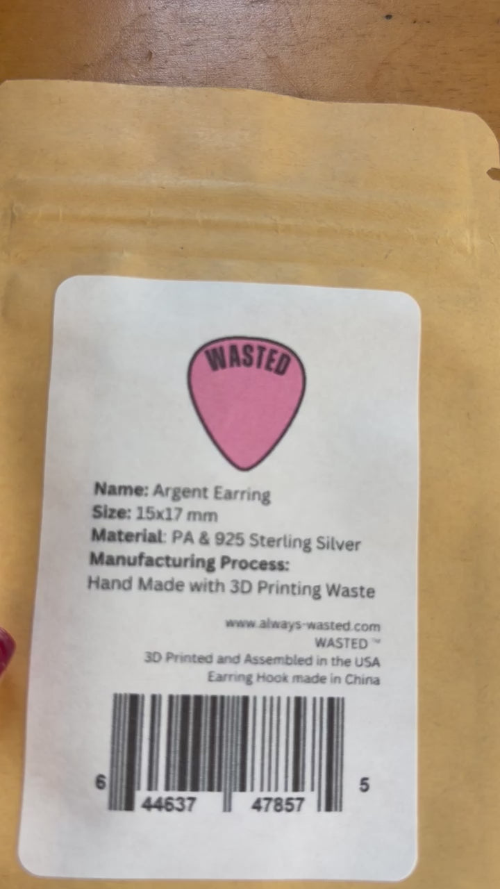 Argent Earrings